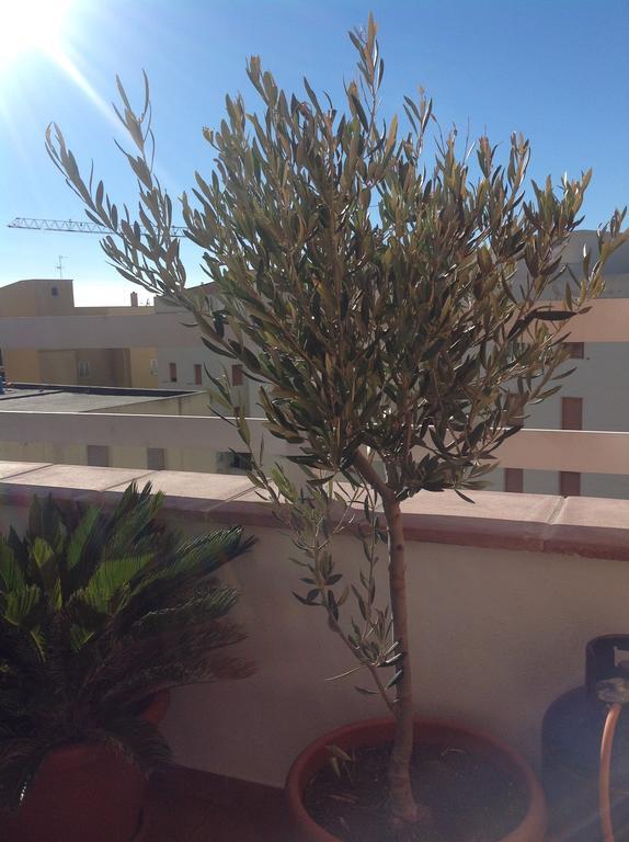 Villamari Apartment Alghero Dış mekan fotoğraf